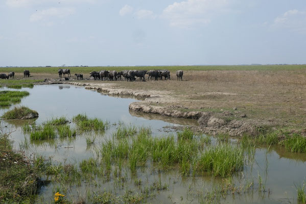 Hortobágy Nationalpark