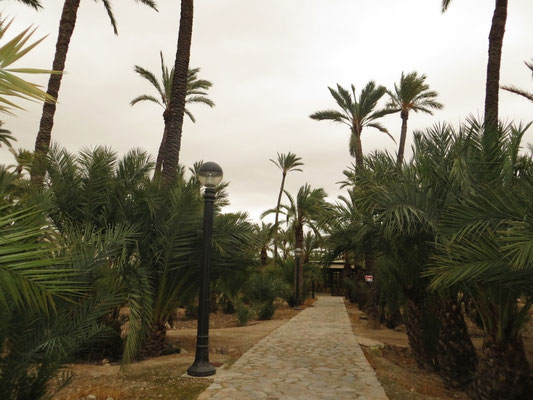 maurisch geprägte Stadt Elche 