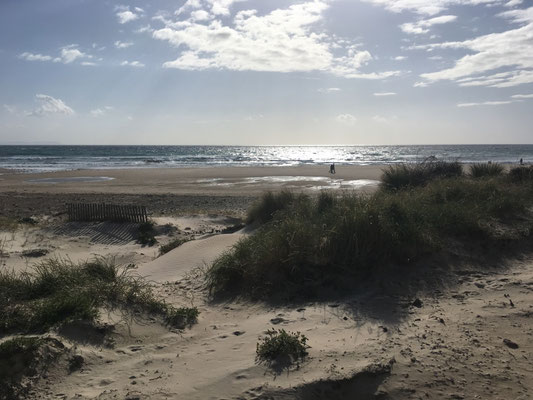 Tarifa