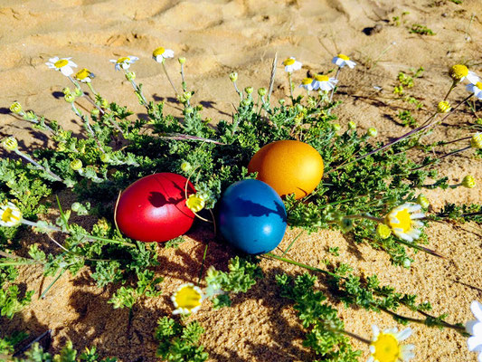 unvergessliches Osterfest