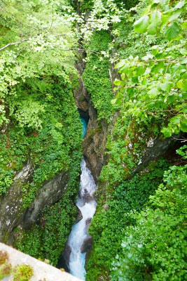 Velika Planina 