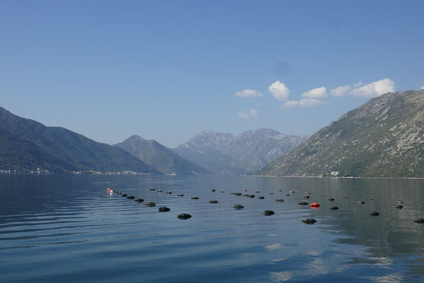 Bucht von Kotor