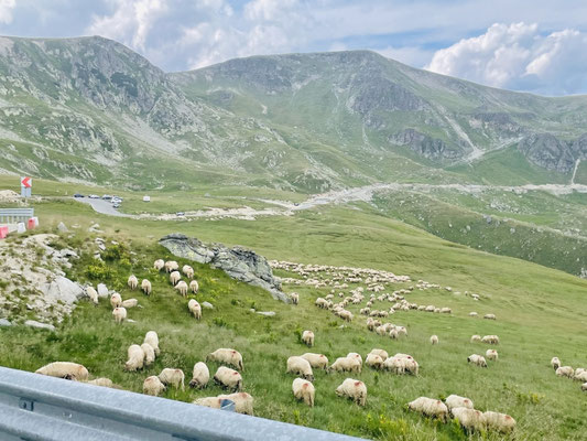 Transalpina Pass