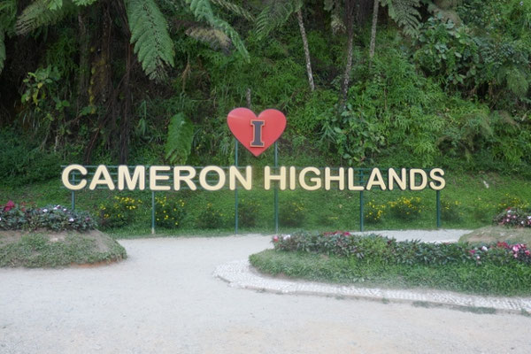 Cameron Highlands