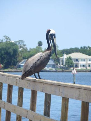 Impressionen aus Daytona