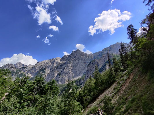 Logarska Dolina 