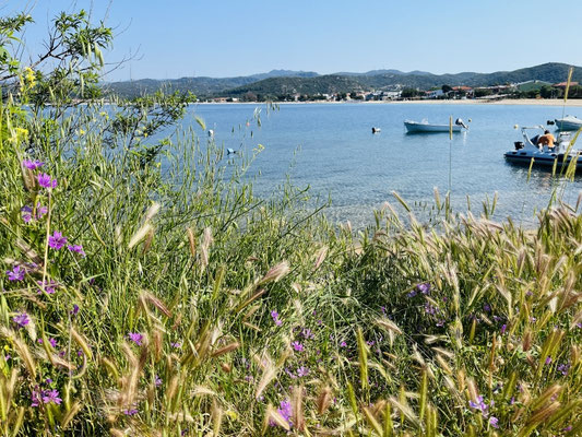 Sithonia