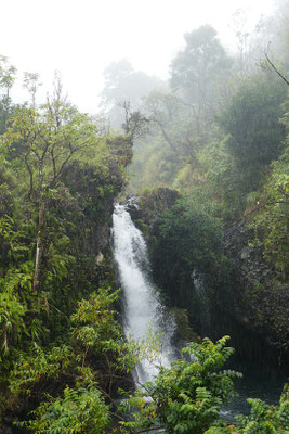 Impressionen vom Hana Highway