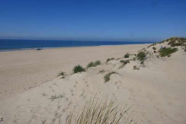 Nationalpark Coto de Donana