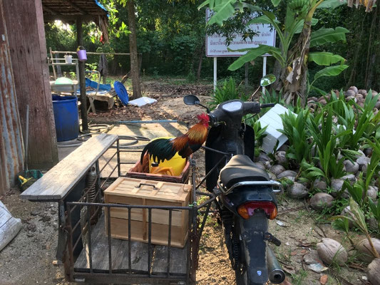 Khao Lak
