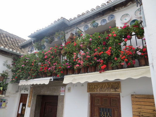 Granada