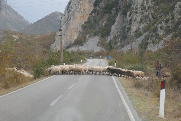 Impressionen aus Albanien