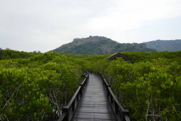 Pranburi Forest Park