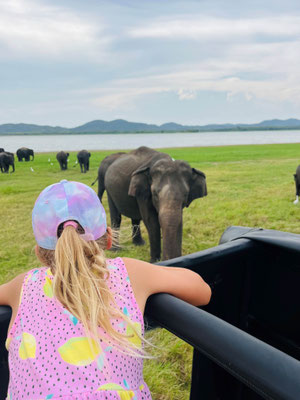 Minneriya Nationalpark