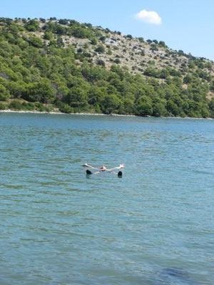 Der Silbersee