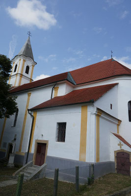 Ciko
