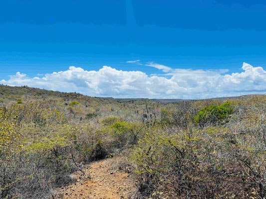 Curacao