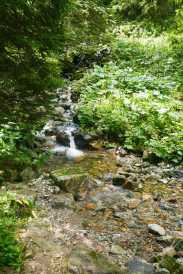 Gratwanderung auf dem Mt. Chopok