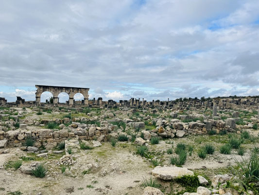 Volubilis