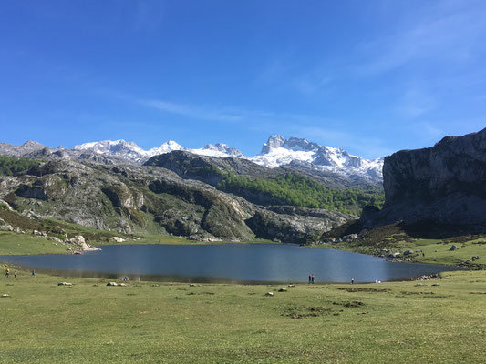 Picos de Europa