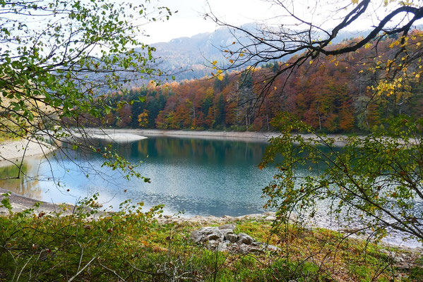 Biogradska Gora Nationalpark