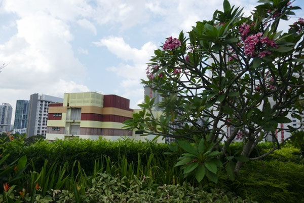 Singapur