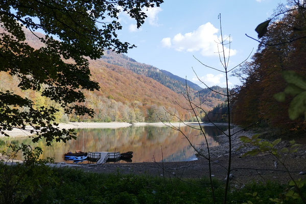 Biogradska Gora Nationalpark