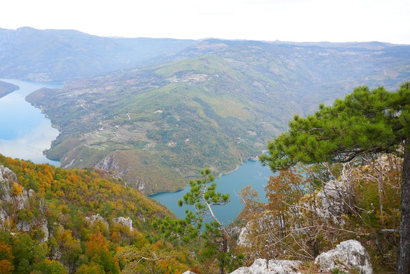 Tara Nationalpark - Aussichtspunkt Banjska Stena 