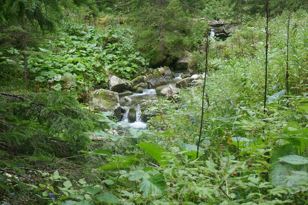 Gratwanderung auf dem Mt. Chopok