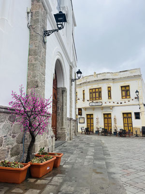 In den Bergen von Gran Canaria