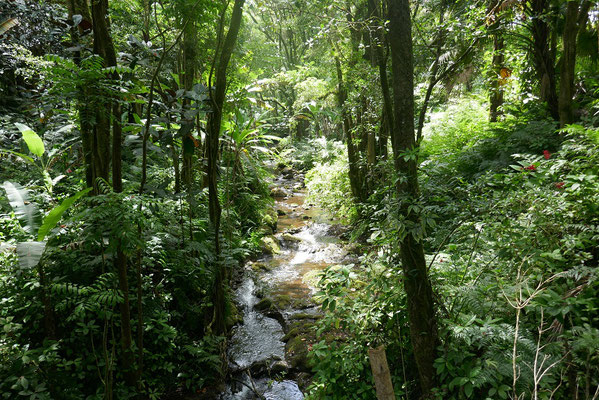 Impressionen von Hawai'i