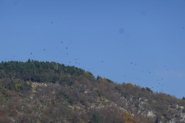 Bootsausflug auf dem Fluss Uvac