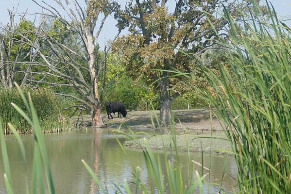 Hortobágy Nationalpark