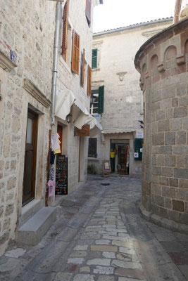 Kotor