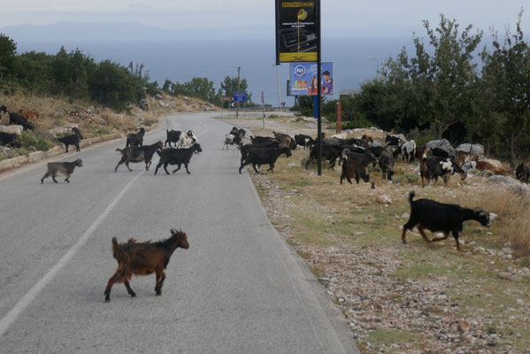 Llogarat-Pass