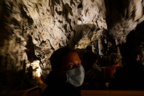 Höhlen von Postojna 