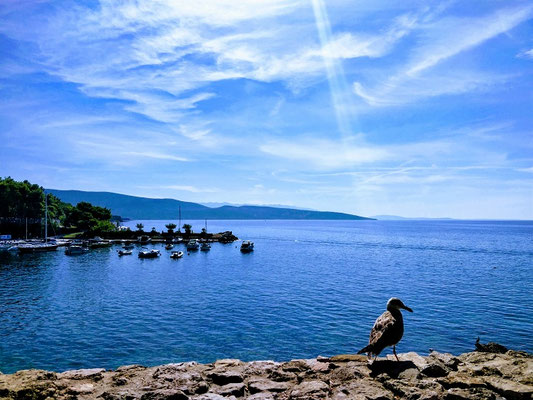 Insel Cres