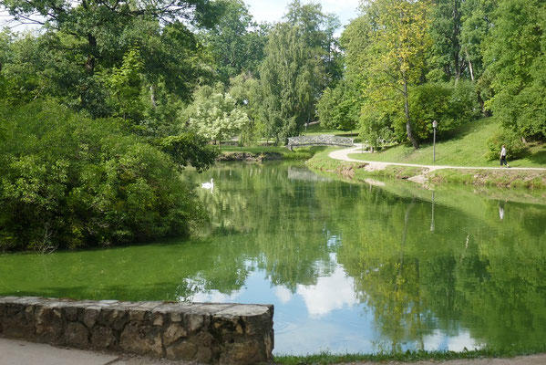 Cesis