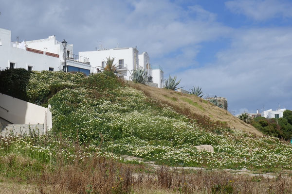 Tarifa