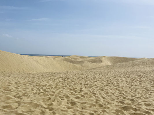 Dünen von Maspalomas