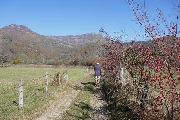 Autocamp Rabrenovic - Spaziergang zum Fluss Tara