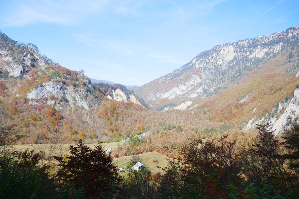 Tara Schlucht