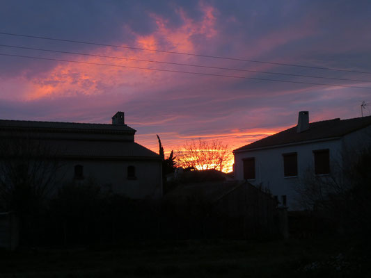 Camargue