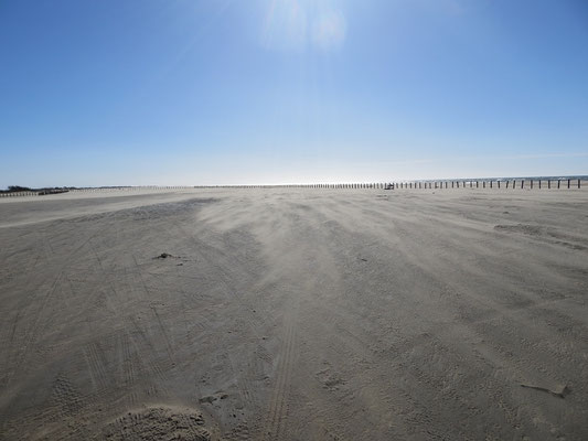 Camargue