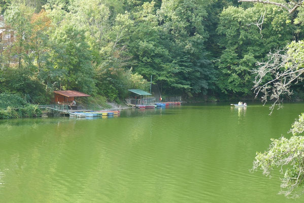 Bükk-Nationalpark