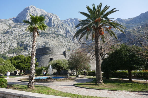 Kotor
