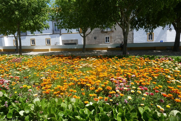 Evora
