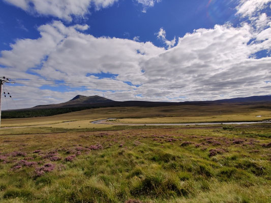 Glen Torridon