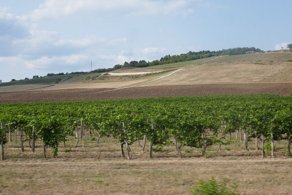 Tokaj