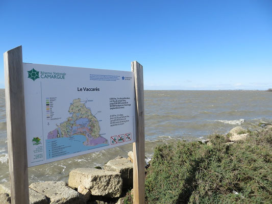 Camargue